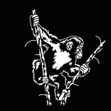 Swinging Chimp